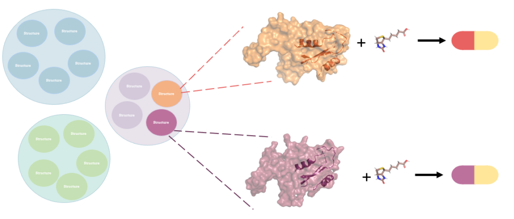  In this figure, purple and orange circles representing two proteins belong to the same cluster, thus expected to have similar interface regions. Cartoon representation inside surface representation of proteins indicates interface regions.  Since they belong to the same cluster, both contain two alpha-helices and two beta-sheets. Ligand shown in the figure thus is expected to interact with both interface regions. As a result of these interactions, a drug that was designed for the interaction of orange protein can be repurposed to interact with the purple protein and be therapeutically effective on another pathway. 